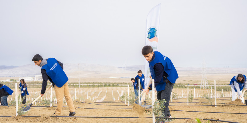 Ağacəkmə aksiyası keçirilib