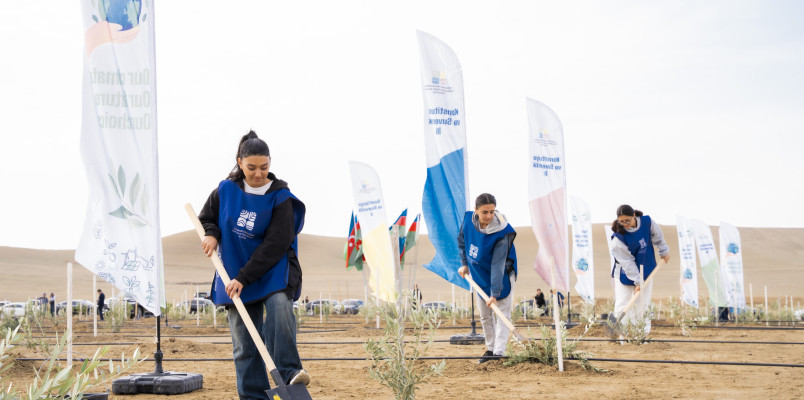 Ağacəkmə aksiyası keçirilib