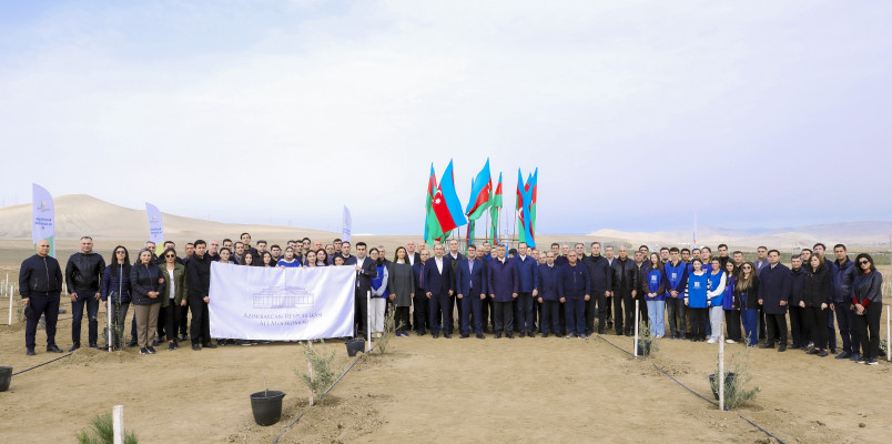 Ağacəkmə aksiyası keçirilib