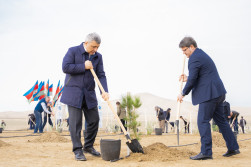 Ağacəkmə aksiyası keçirilib