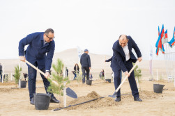 Ağacəkmə aksiyası keçirilib