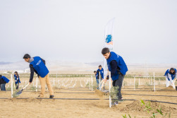 Ağacəkmə aksiyası keçirilib