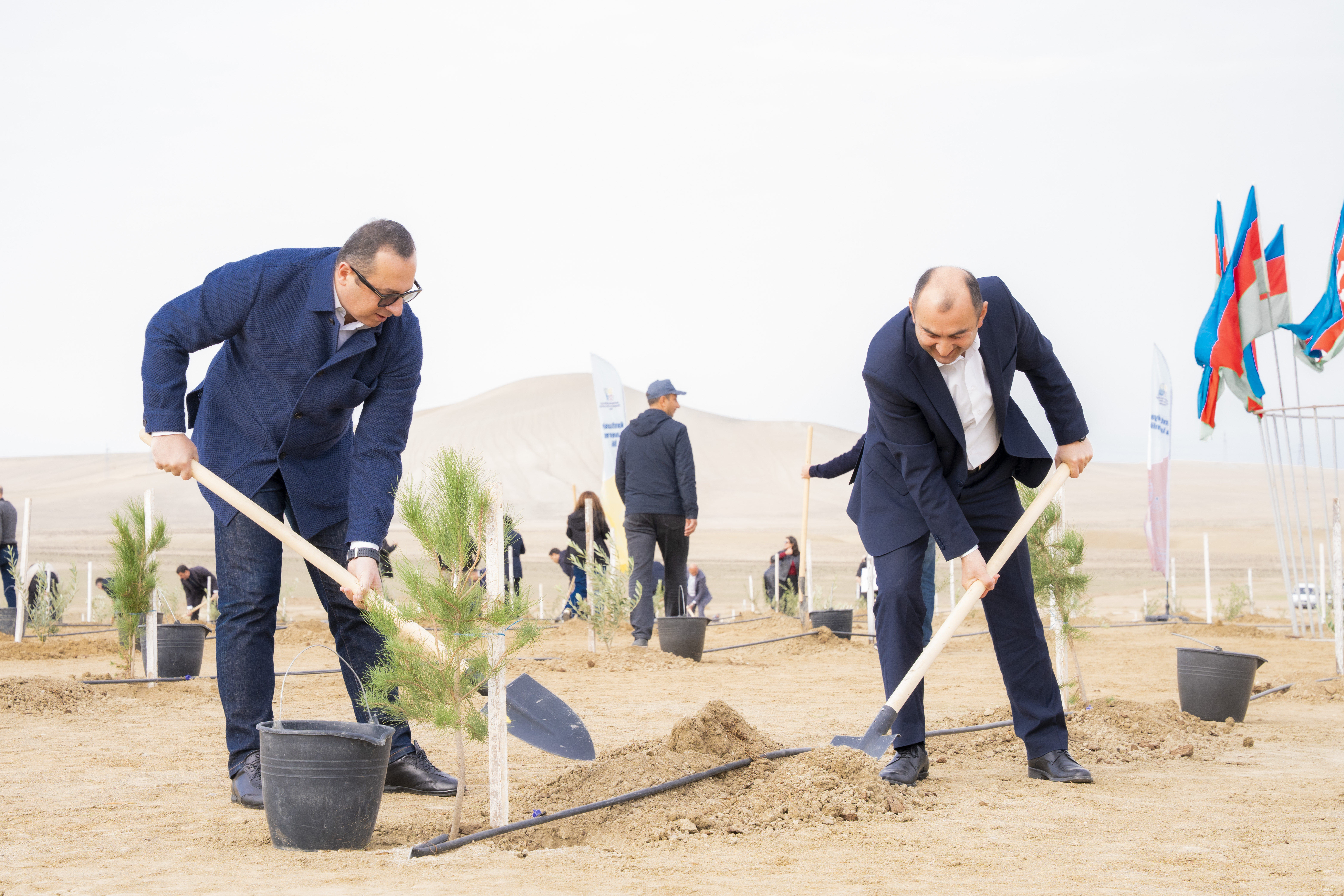 Ağacəkmə aksiyası keçirilib