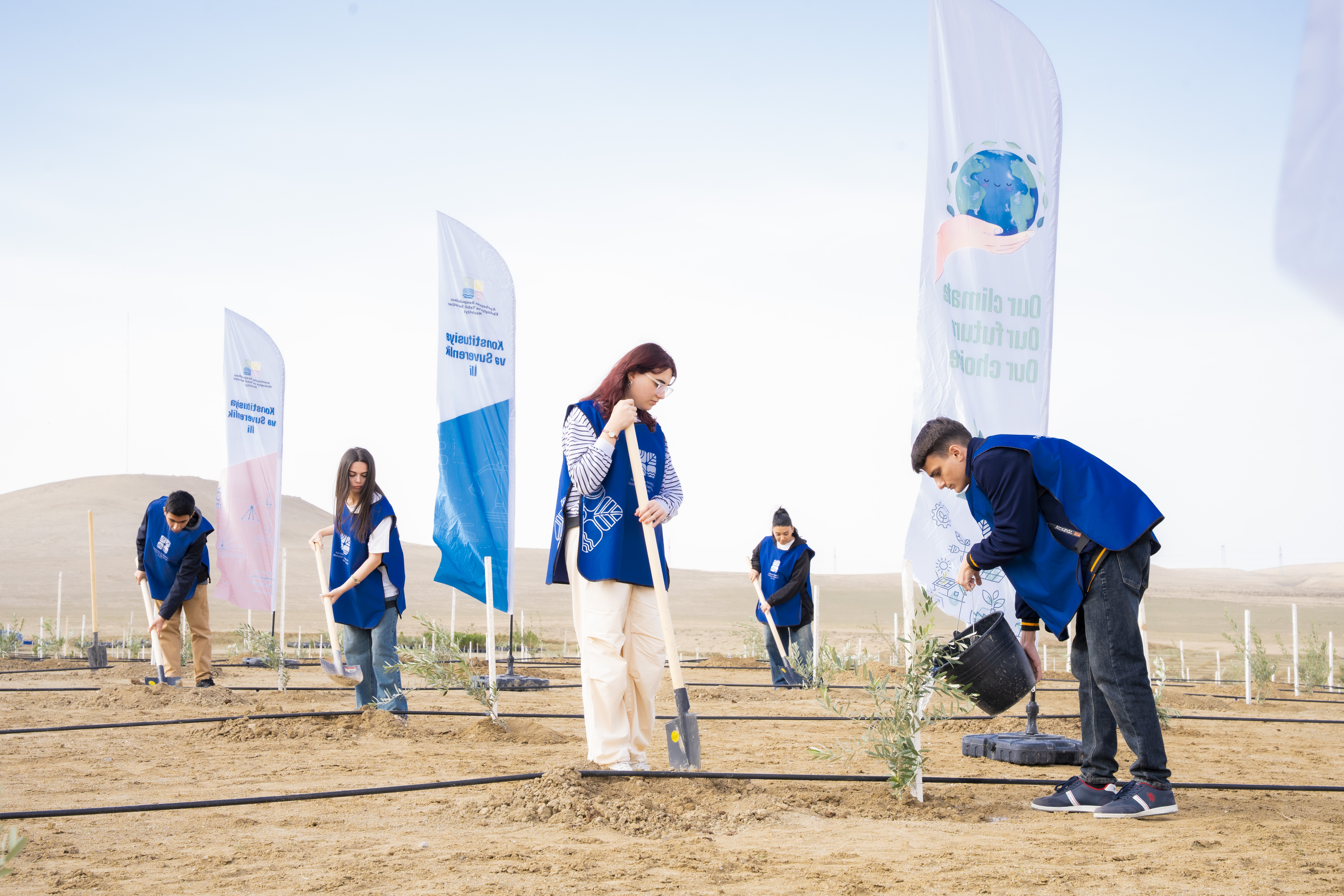 Ağacəkmə aksiyası keçirilib