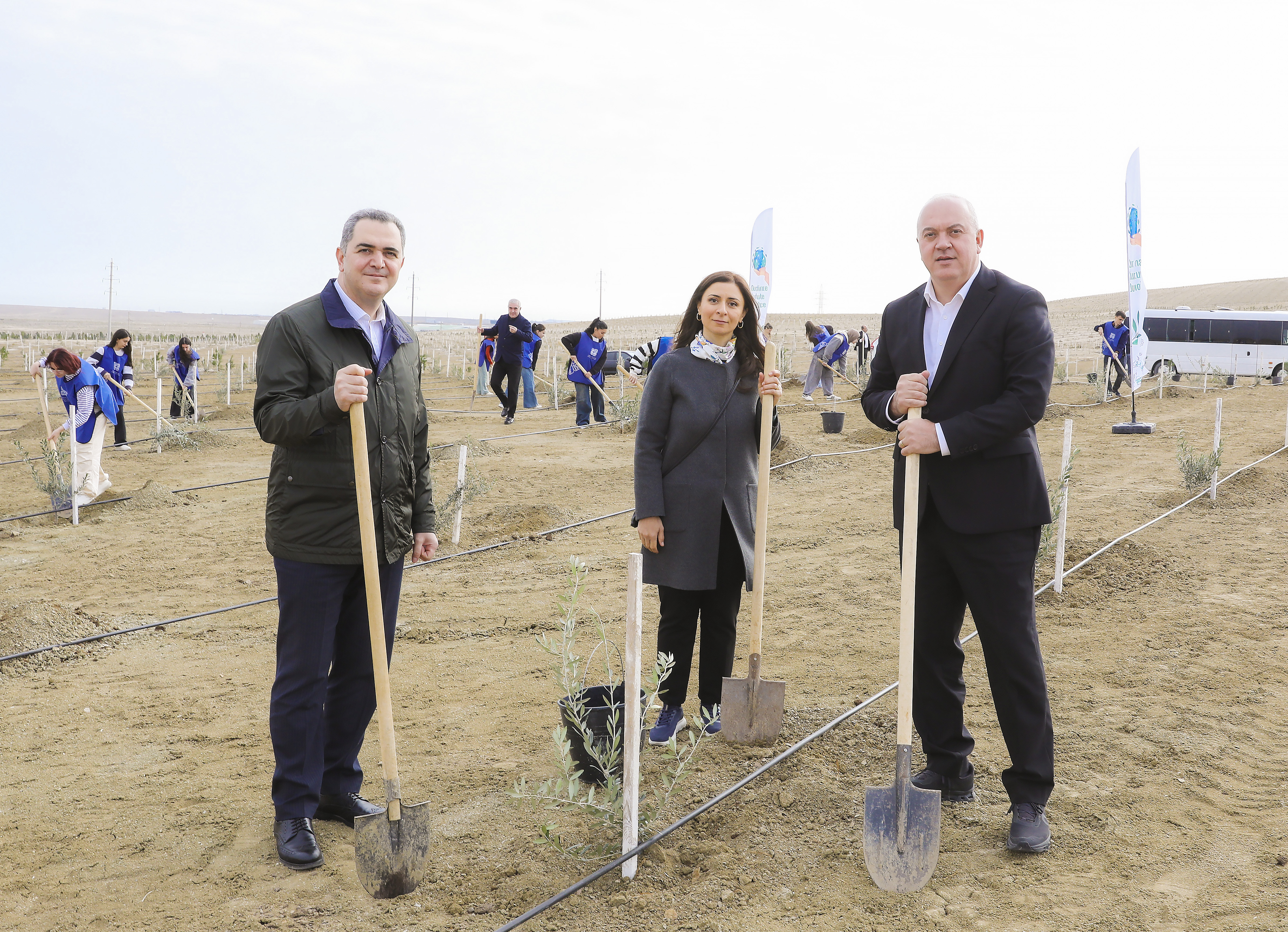 Ağacəkmə aksiyası keçirilib